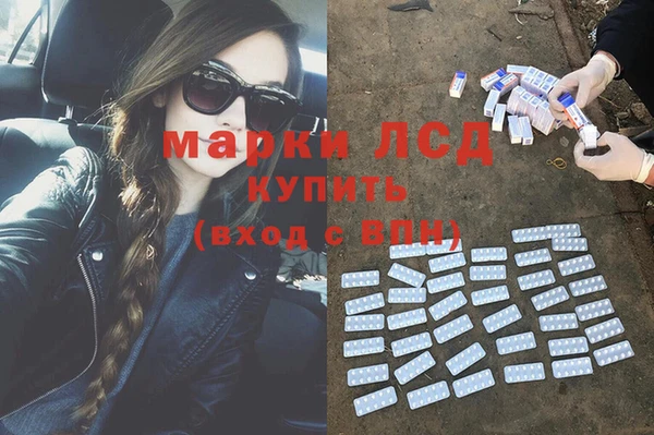 герыч Вяземский