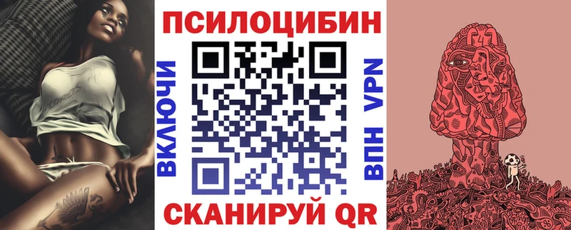 ссылка на мегу вход  Нижнекамск  Галлюциногенные грибы MAGIC MUSHROOMS 